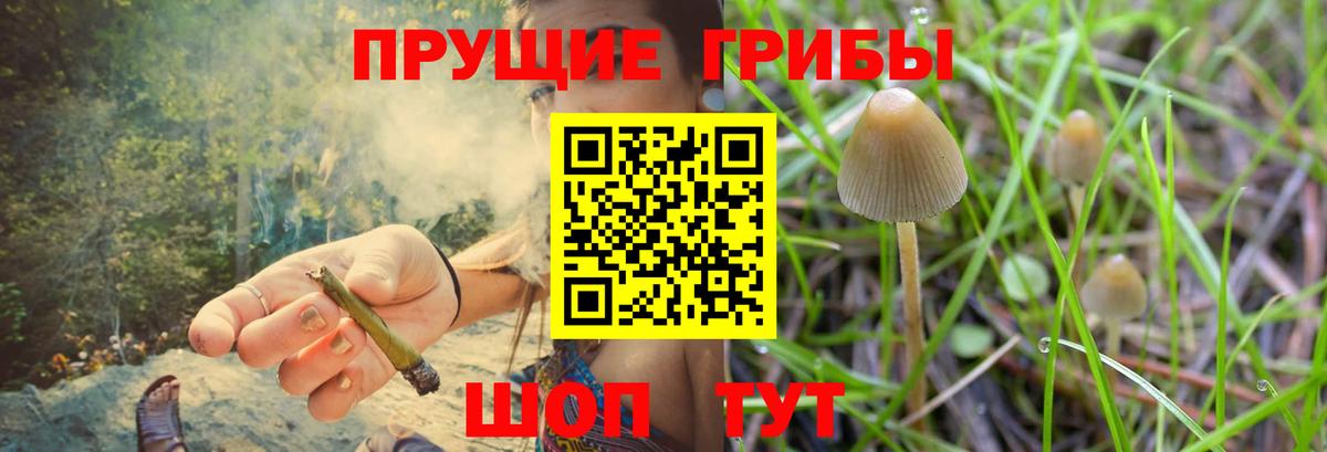 Саранск  даркнет сайт  Вход с VPN  Псилоцибиновые грибы ЛСД  Галлюциногенные грибы прущие грибы 